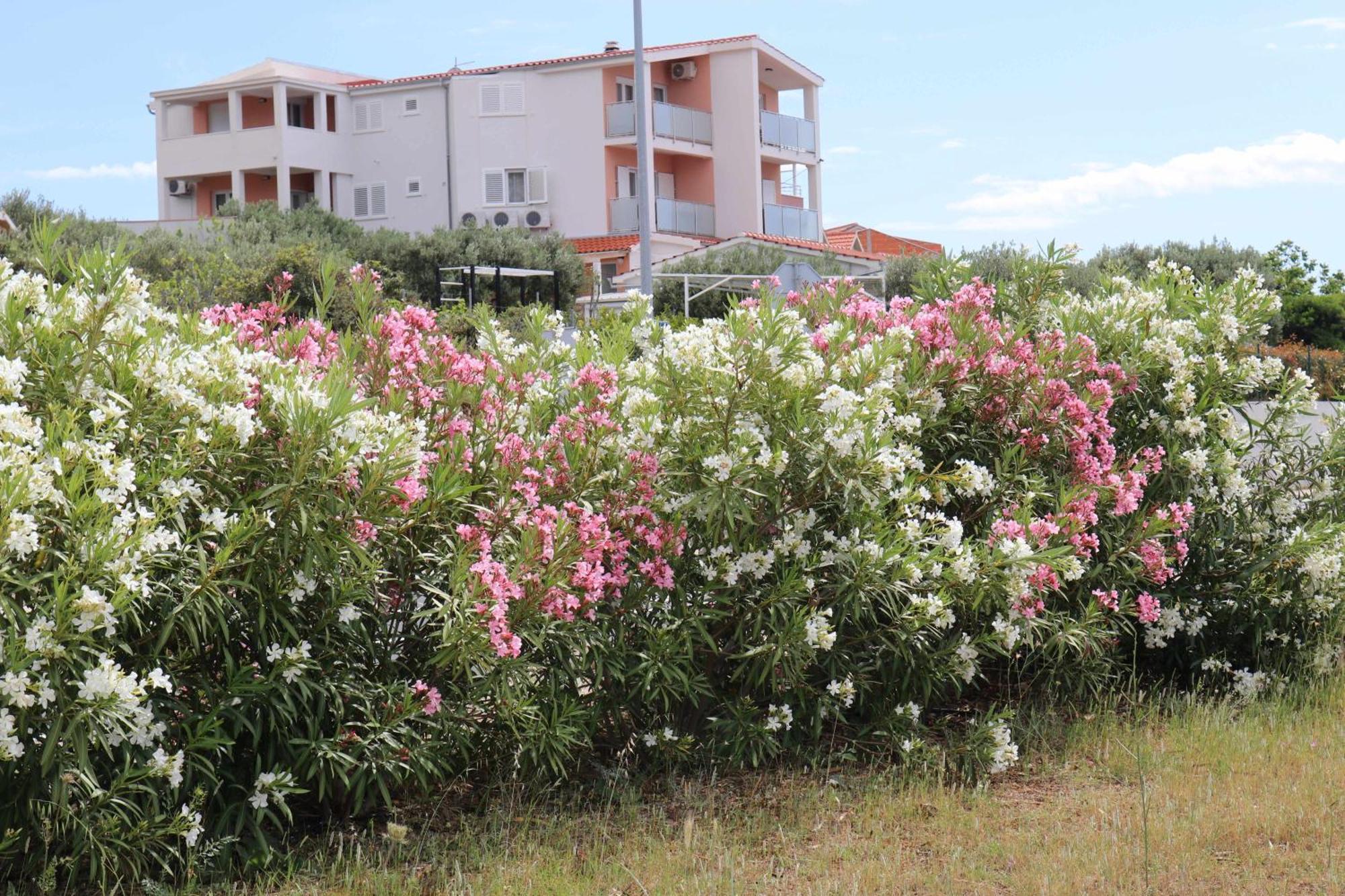 Apartmani Bilokapic Primošten Εξωτερικό φωτογραφία